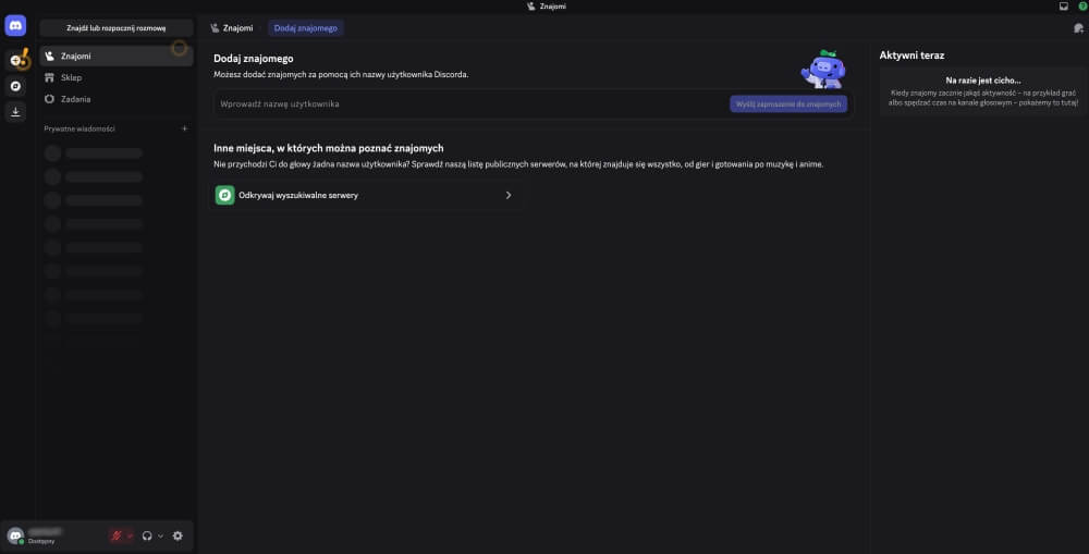 główny interfejs discorda discord - interfejs